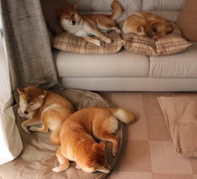 “中国女足与海外球队友谊赛,展示竞技水平”,中国女足在国际足联的世界排名