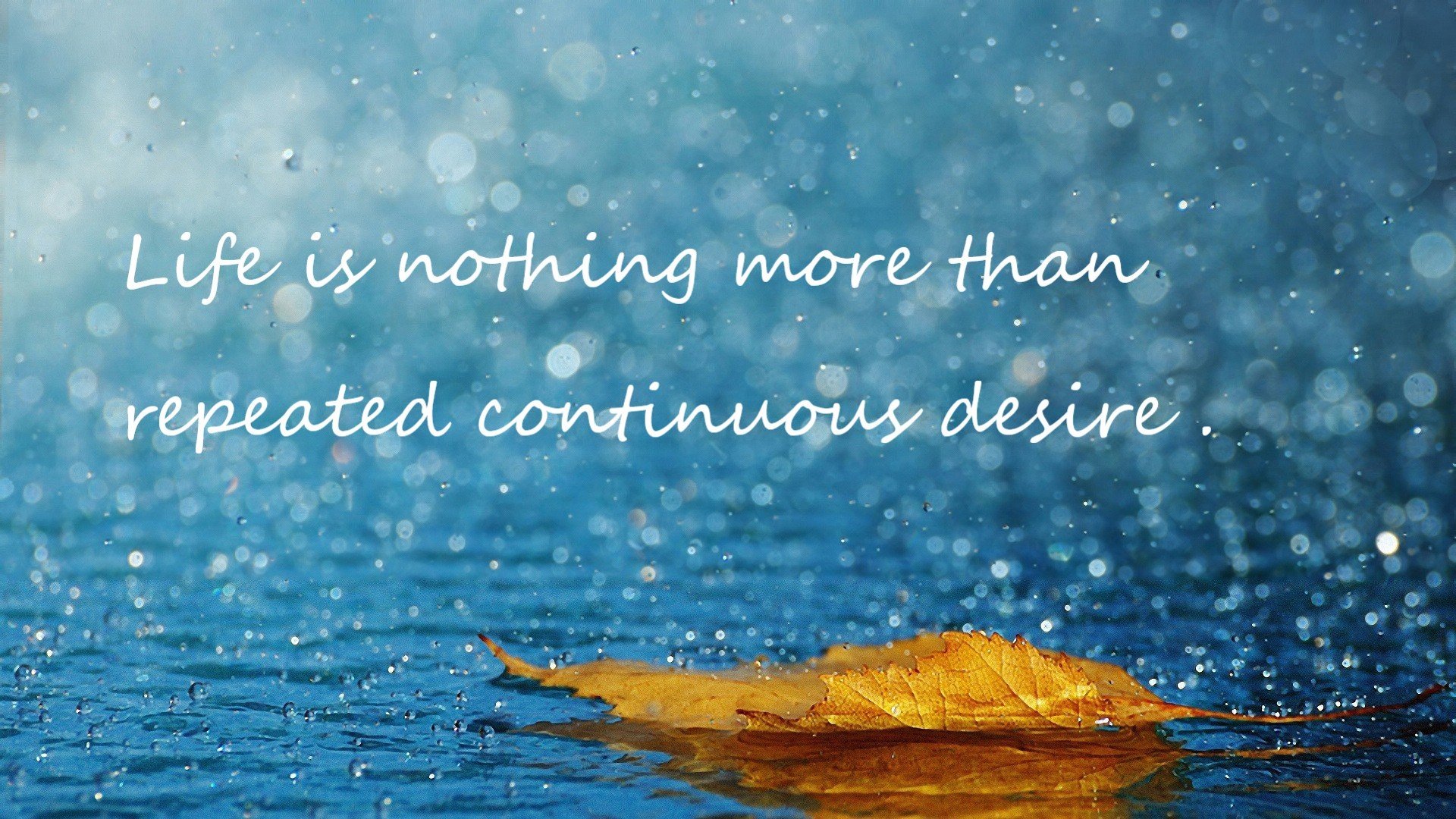 “中国女足在亚洲杯中夺冠,迎来新巅峰”,中国女足亚洲杯冠军