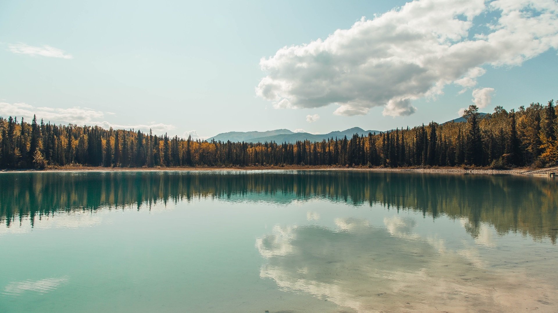 【罚分指南】裁判详解:不同犯规对应的处罚标准,犯规判罚的程序是什么