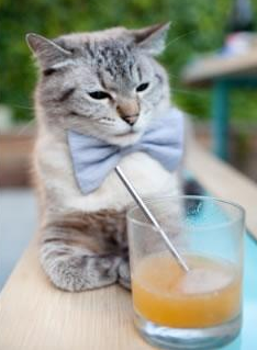 史上最“炸裂”的灌篮集锦,谁的动作刻画最完美?,灌篮的标准动作