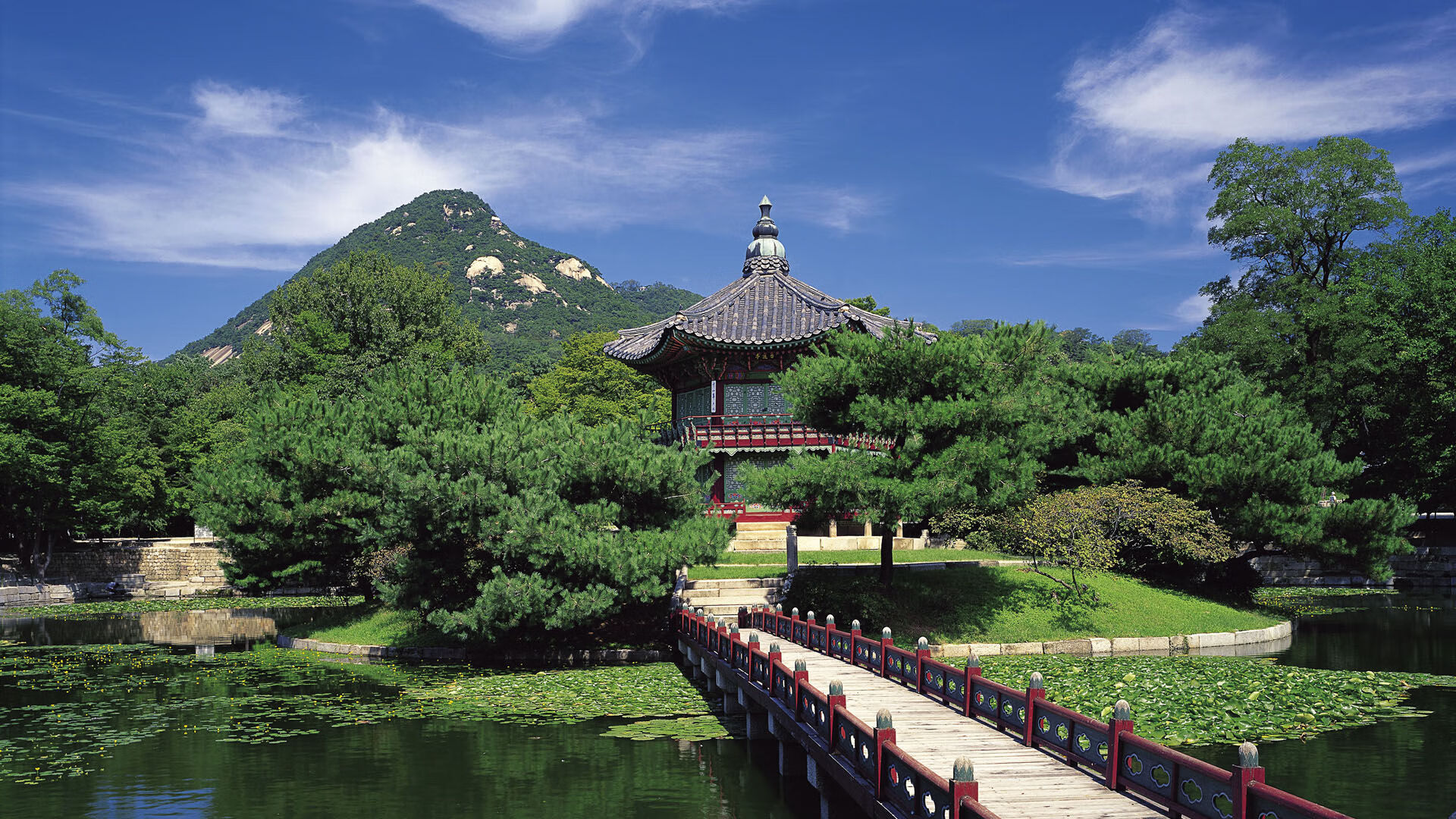 史上最“疯狂”射手排行：谁能破纪录？，疯狂射手攻略