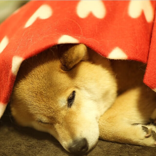 当比赛进入关键时刻:为什么他们总能把握机会?,为什么比赛的时候都会紧张