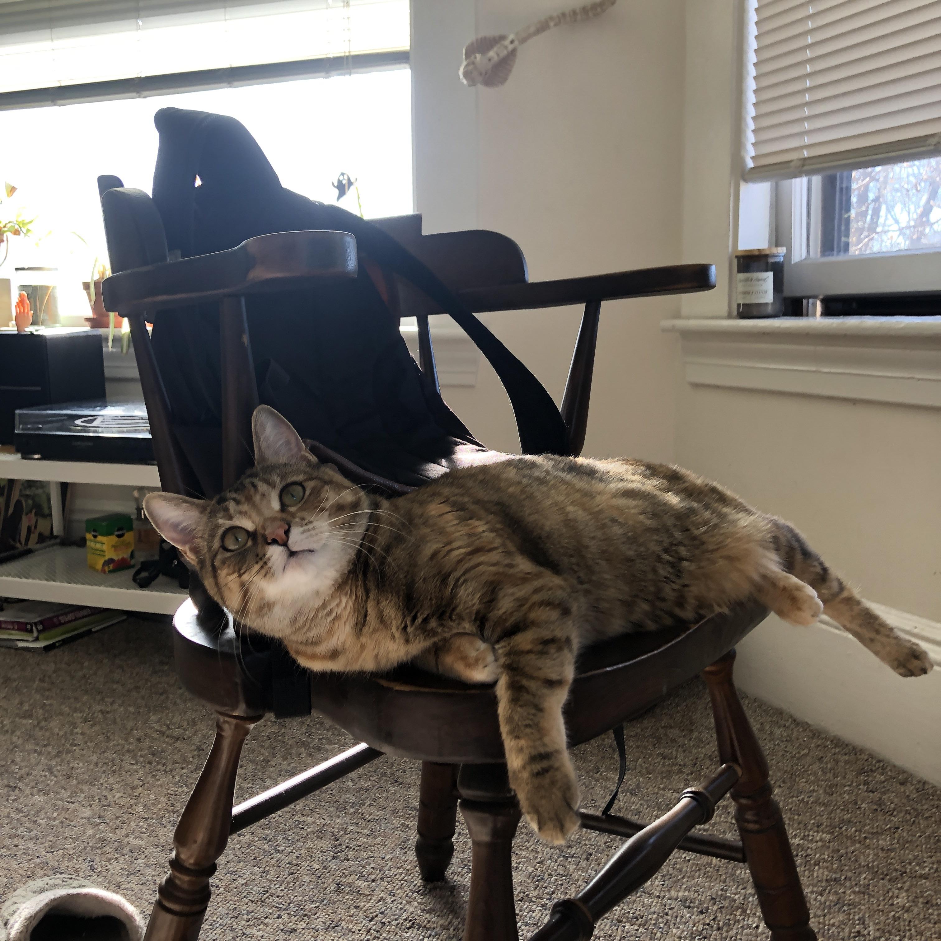 斯台普斯中心球迷热情支持湖人,连续五场满座,nba斯台普斯球馆门票