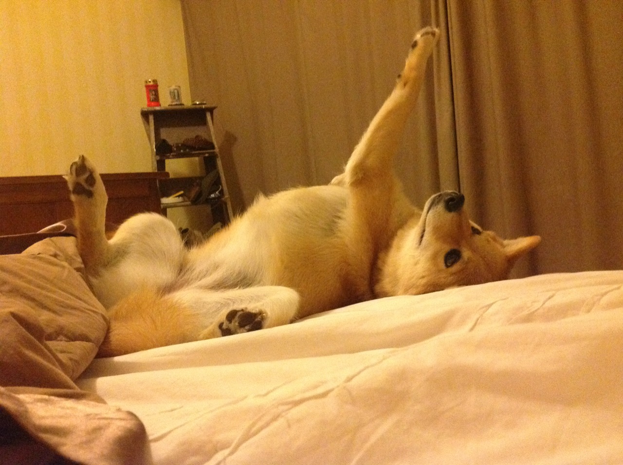 九游app下载中心-科比：冠军的血统，无私的精神永远激励年轻一代！，科比总冠军穿的什么鞋