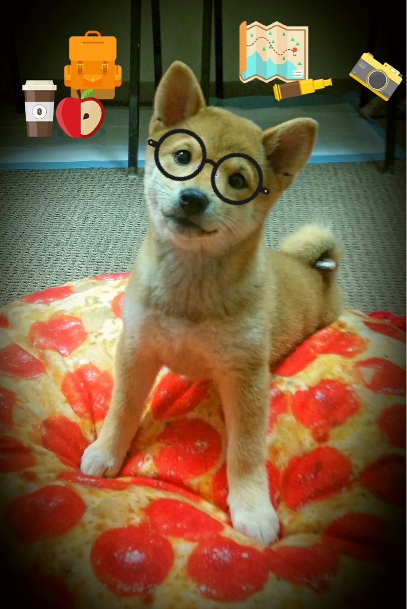 纽卡斯尔联中锋爆发,赢得多场关键战,纽卡斯尔联中锋爆发,赢得多场关键战绩