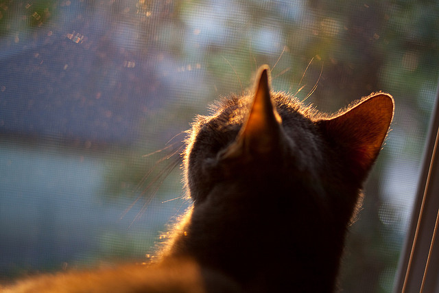 结合旅游产业,电竞赛事成为城市新名片,电竞旅游产品开发