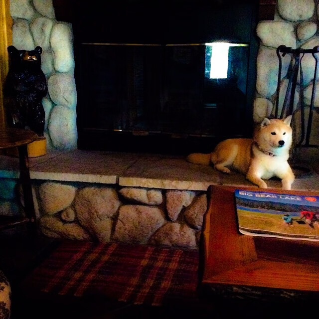 荷兰马术协会推出马术运动员心理辅导项目,提升竞技表现。,荷兰马拉松比赛