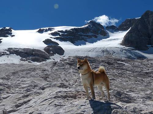 足球赛事营销研究项目获专项扶持，足球营销策划方案范文
