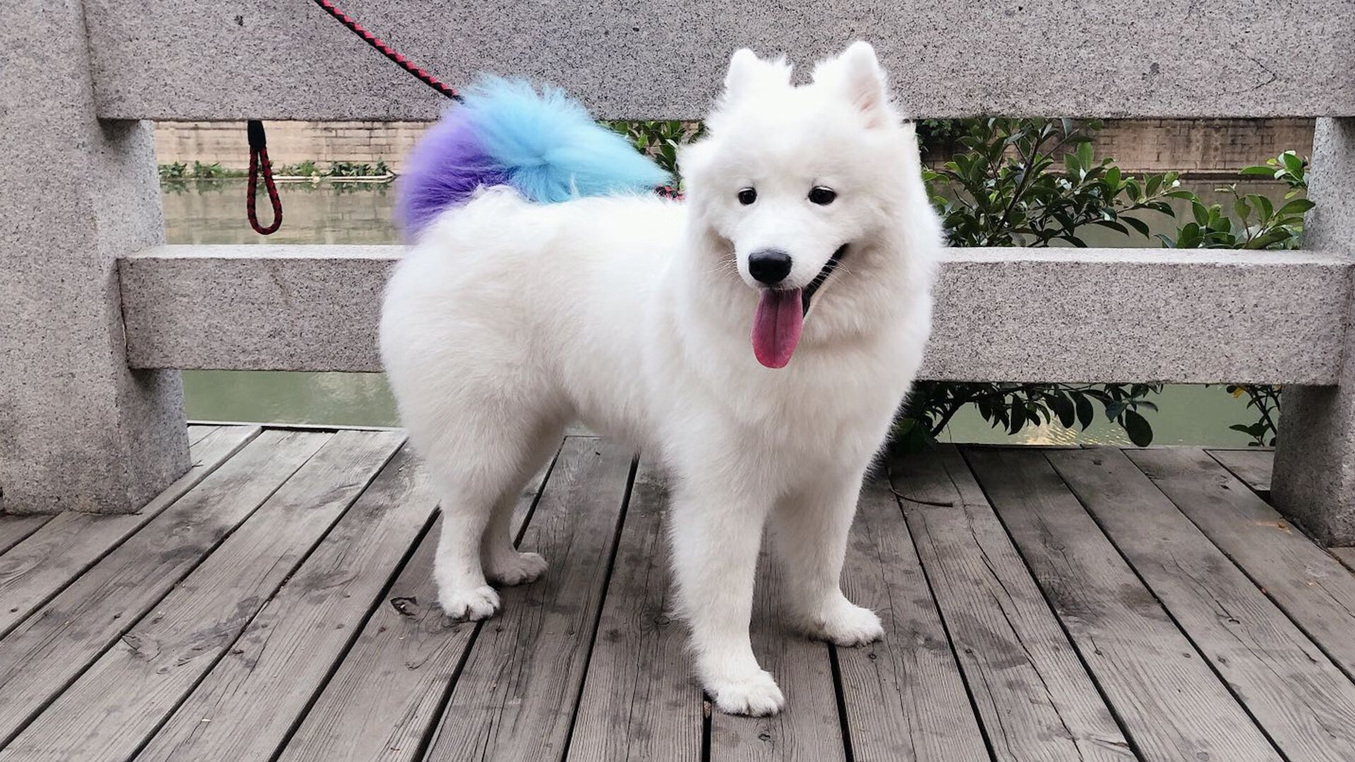 逆转神话:灯泡点亮的奇迹之夜