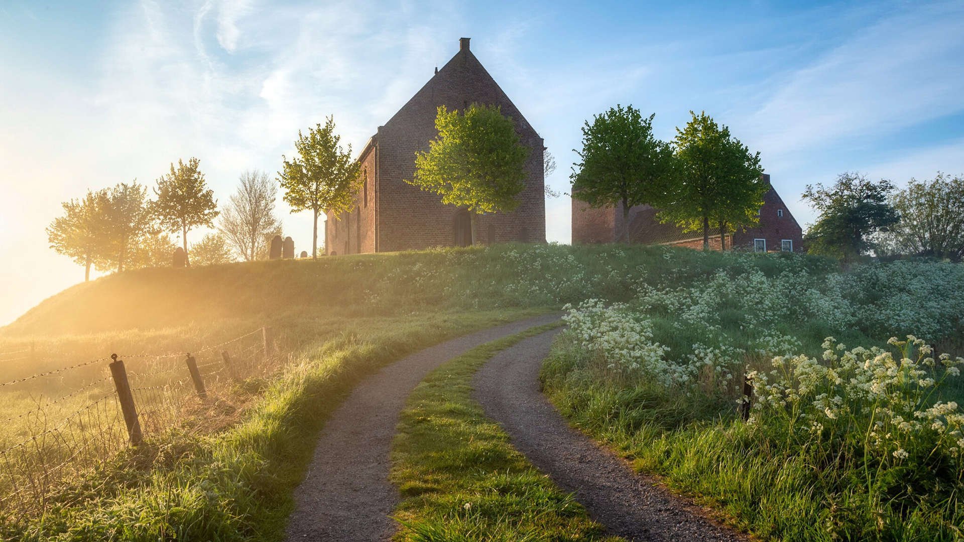 -佛罗伦萨-战胜热那亚，取得关键胜利，佛罗伦萨之战