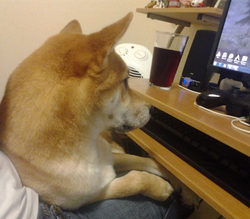 凯尔特人冲击榜首全队稳定输出,凯尔特人队员