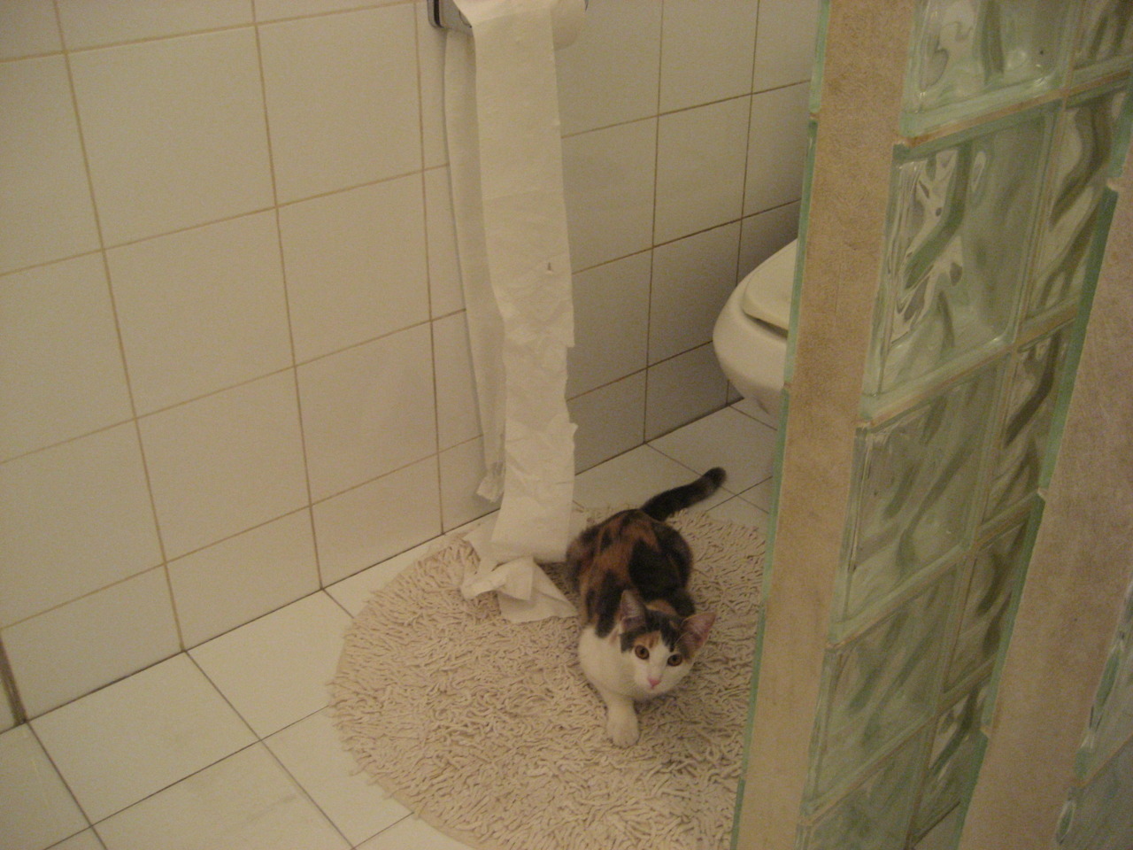 九游网页版入口-博卡青年主帅战术布置得当，博卡青年 球星