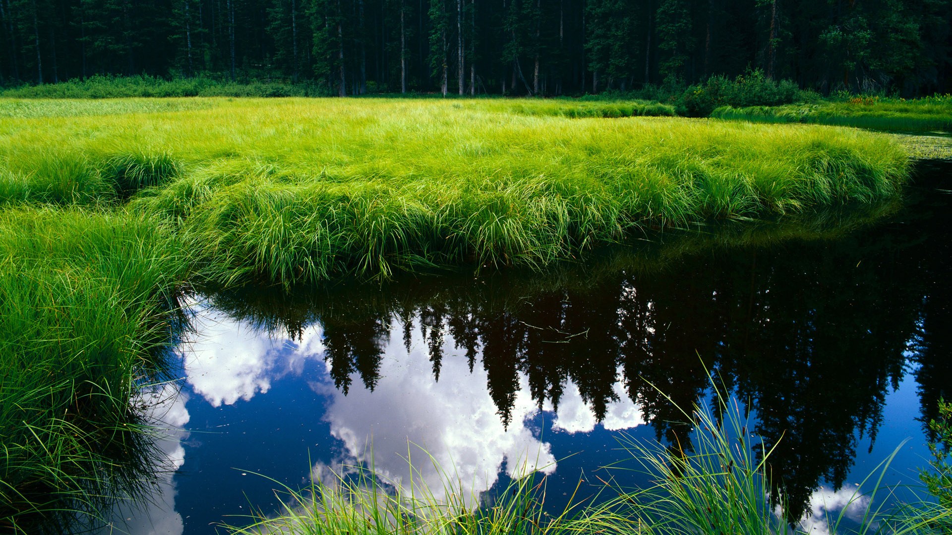 九游网页版官网入口-哥伦比亚女足新秀崭露头角，成为关注焦点！，哥伦比亚足协