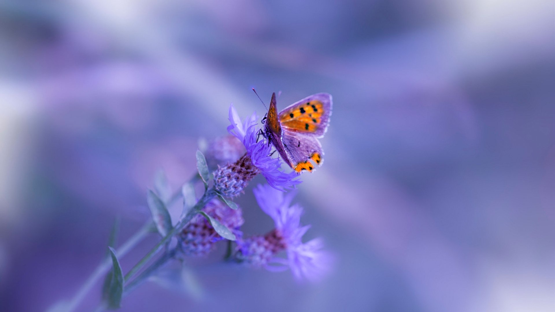 九游下载安装-国家队训练基地建设是否先进，国家训练基地综合馆