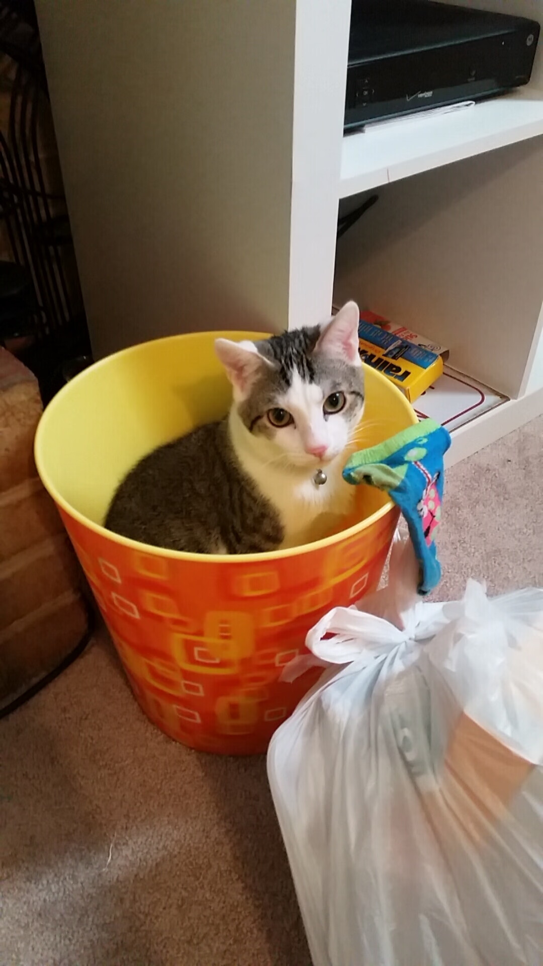 墨西哥队在巴黎奥运会比赛中多次通过快速反击得分,墨西哥奥运队对巴西奥运队